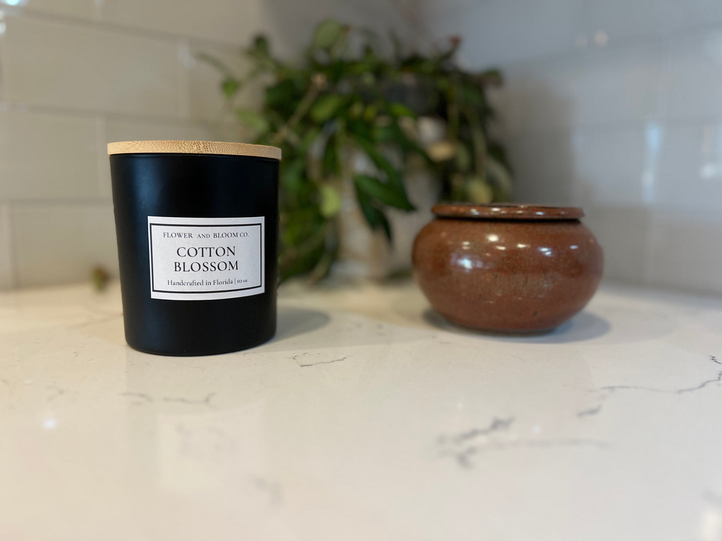 Cotton Blossom